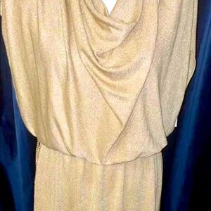 Nine & Co. Day to Dinner Dress